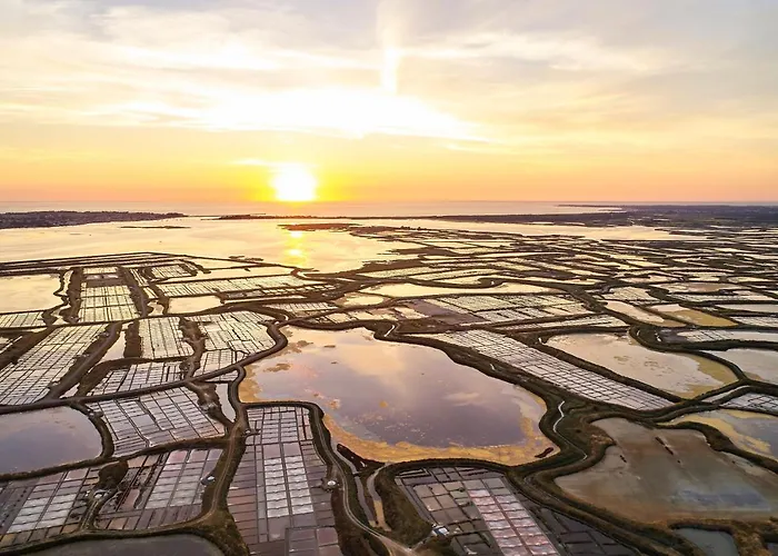 公寓 Joli Au Coeur Des Remparts De 盖朗德